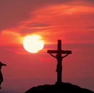 Meet your Posher, Brett